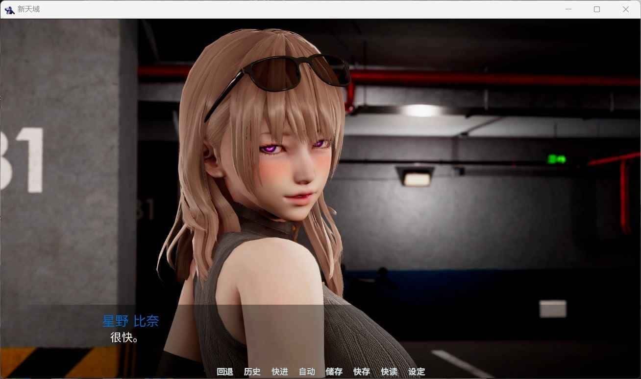 新天域 (新地平线) 操作界面 展示图 1